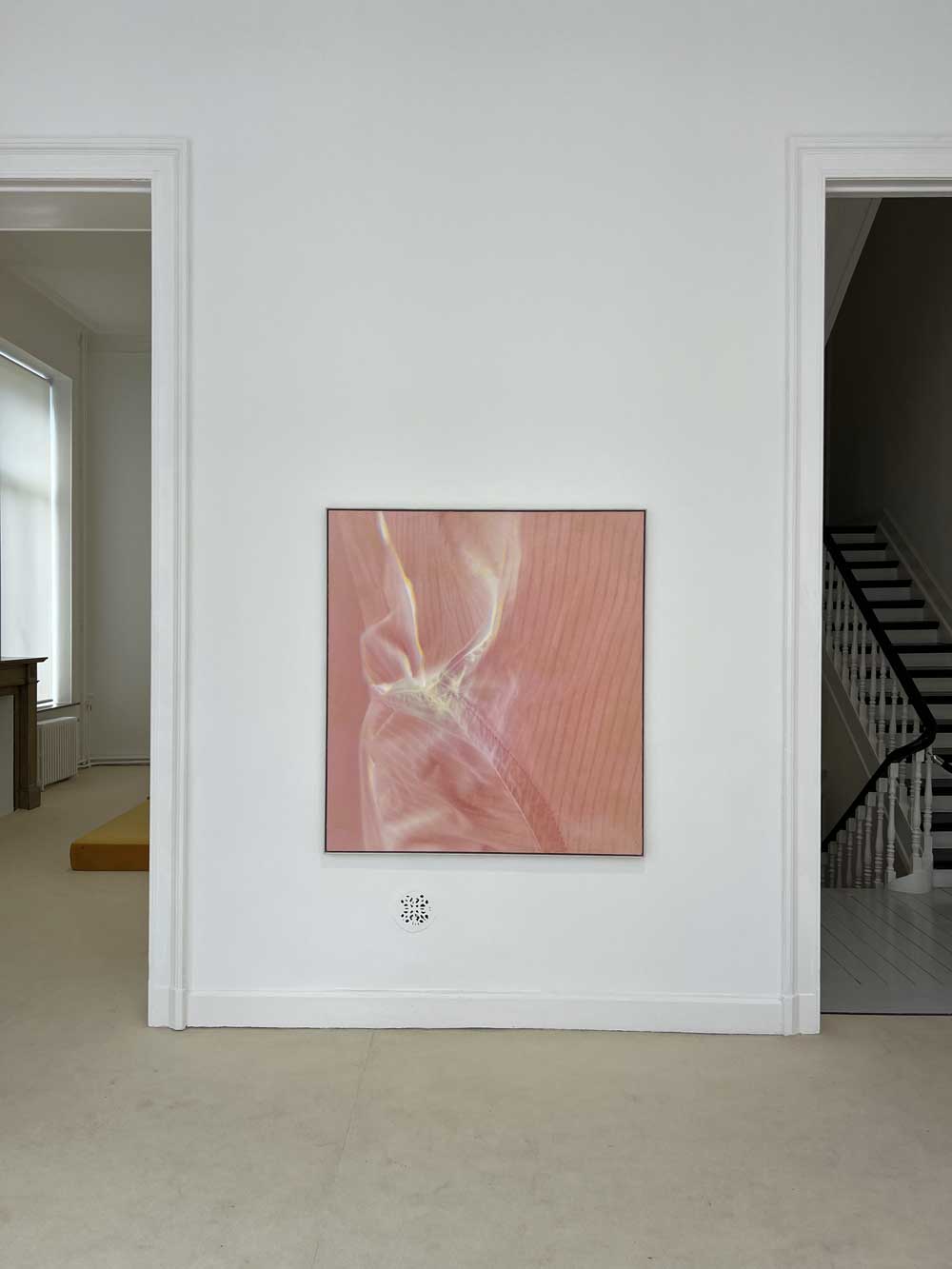 Large close-up photograph of rose-pink organic petal forms in a black frame, displayed in a white Dutch period interior with staircase — art advisory in a private collection context