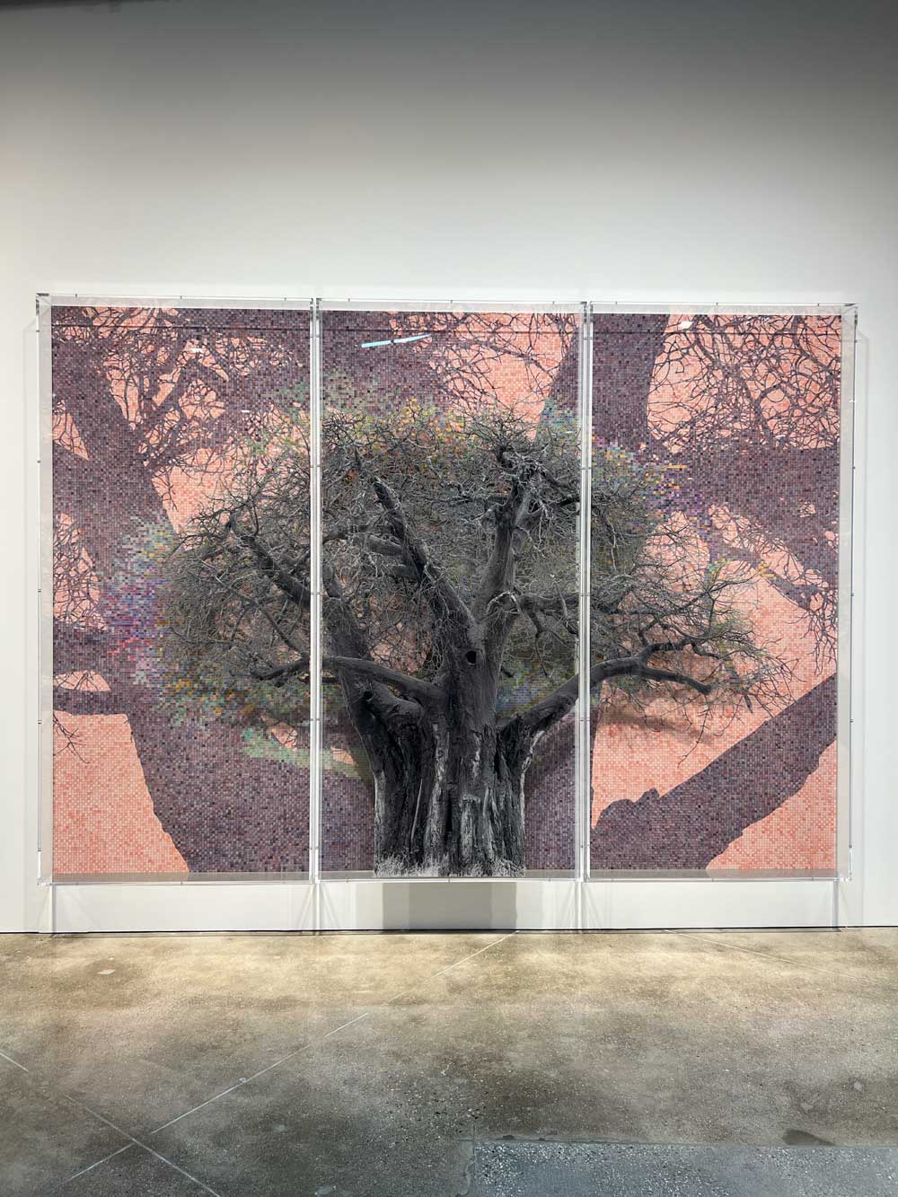 Large triptych artwork of a baobab tree on woven textile in a gallery — tailored art advisory for private collectors